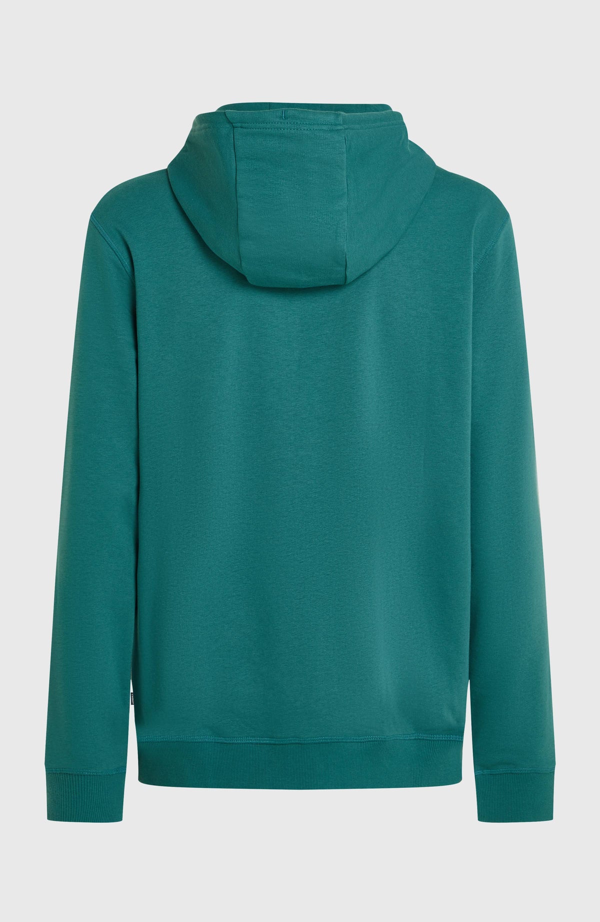 Sweat à capuche O'Neill Must-Have Graphic | Botanical Heat