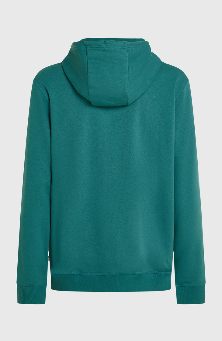 Sweat à capuche O'Neill Must-Have Graphic | Botanical Heat