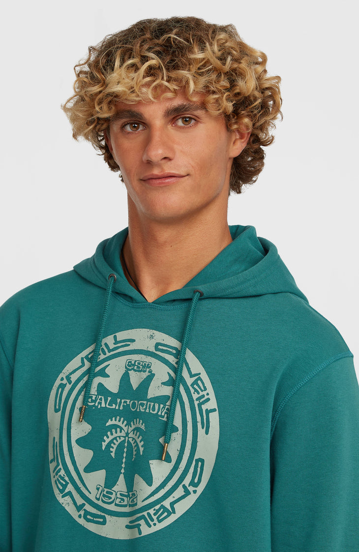 Sweat à capuche O'Neill Must-Have Graphic | Botanical Heat