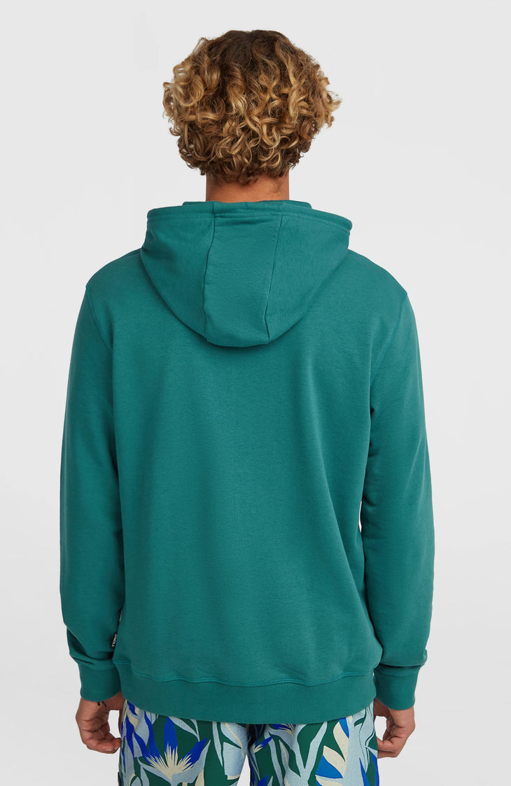 Sweat à capuche O'Neill Must-Have Graphic | Botanical Heat