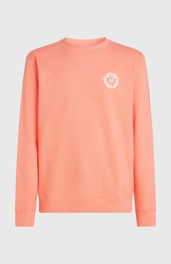 Sweatshirt O'Neill Must-Have Graphic Crew | Funky Peach