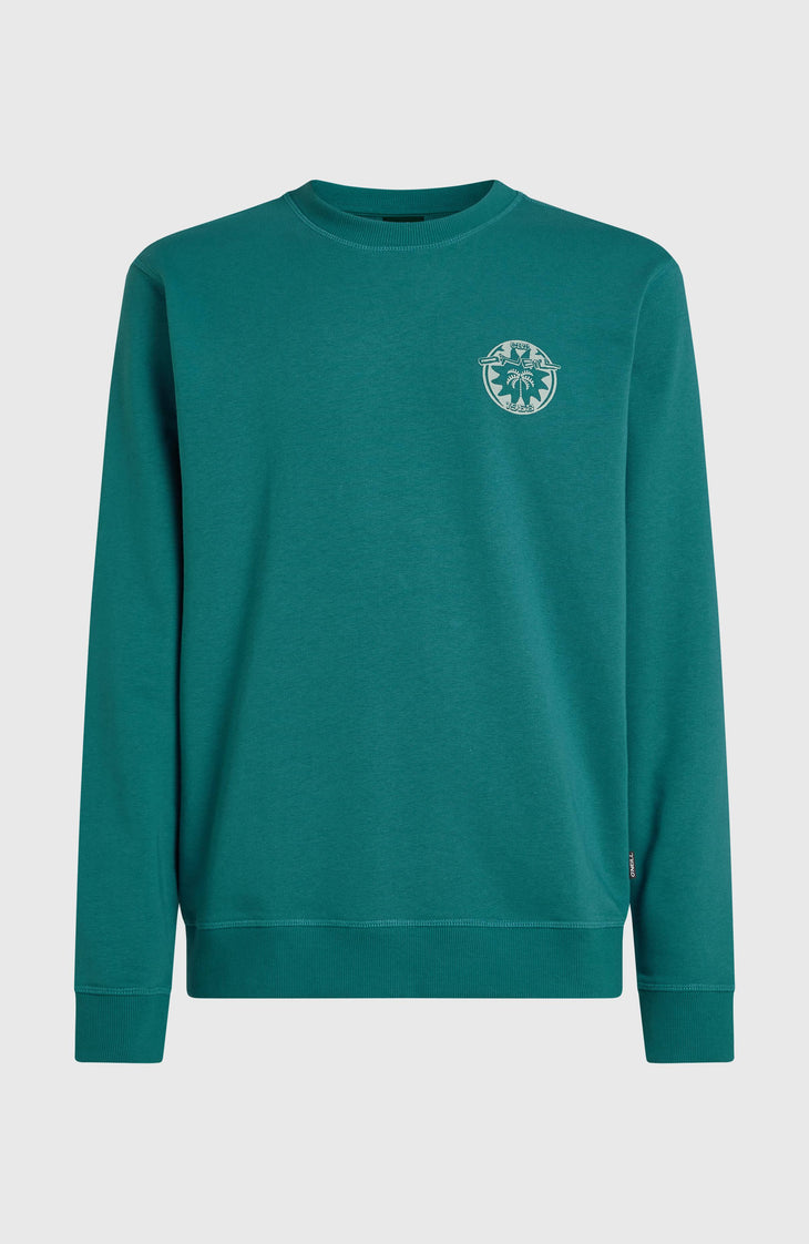 Sweatshirt O'Neill Must-Have Graphic Crew | Botanical Heat