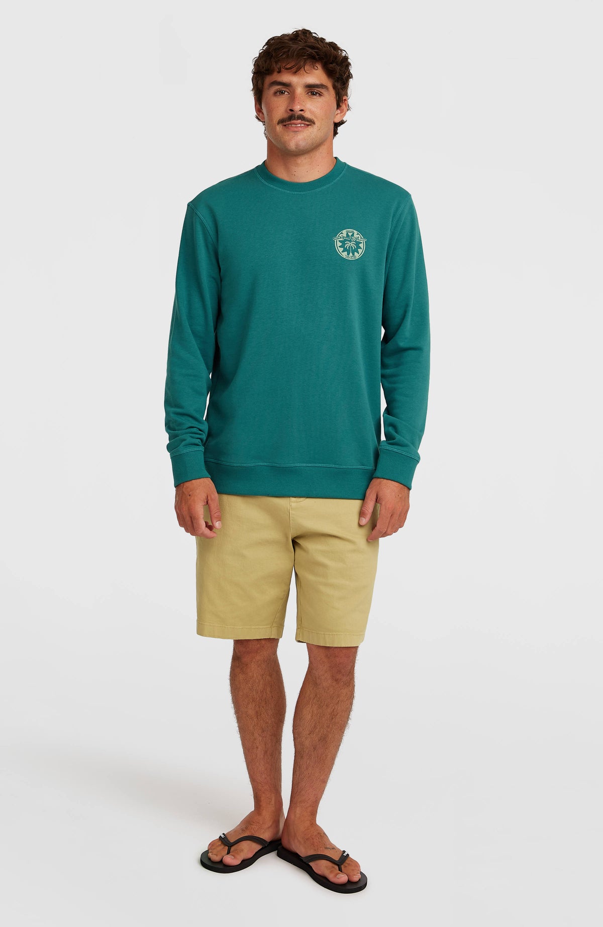 Sweatshirt O'Neill Must-Have Graphic Crew | Botanical Heat