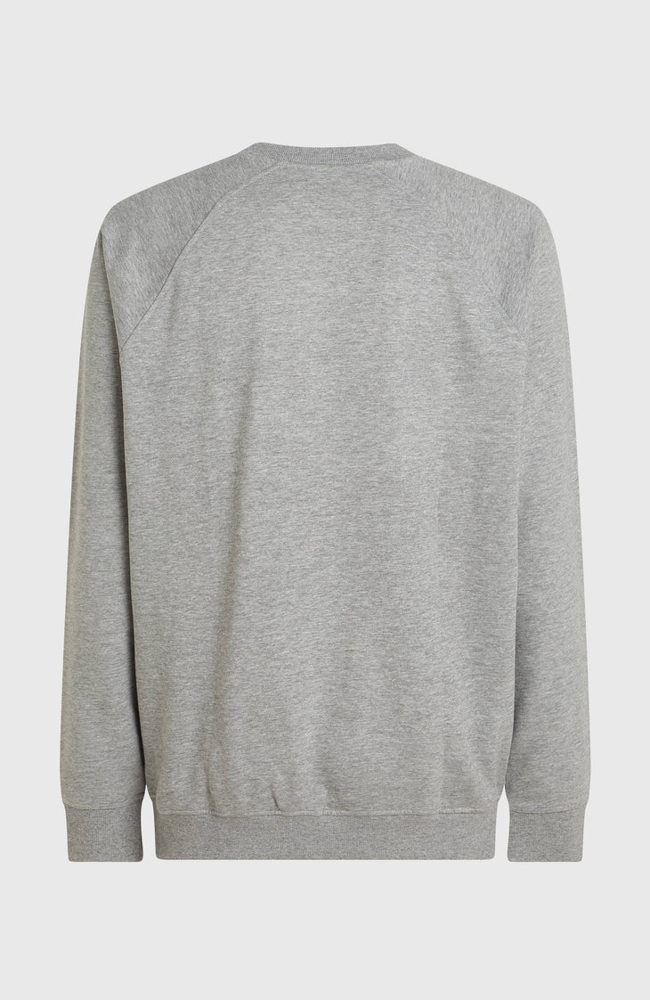 Sweatshirt à col rond Essentials 90s Logo | Silver Melee