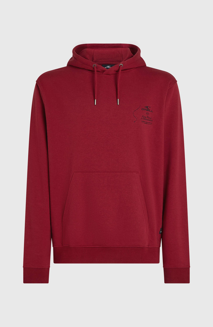 Sweat à capuche O'Neill Must-Have | Tamarillo