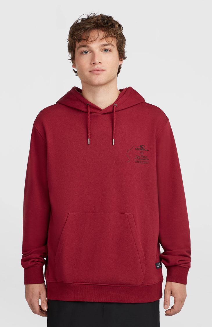 Sweat à capuche O'Neill Must-Have | Tamarillo