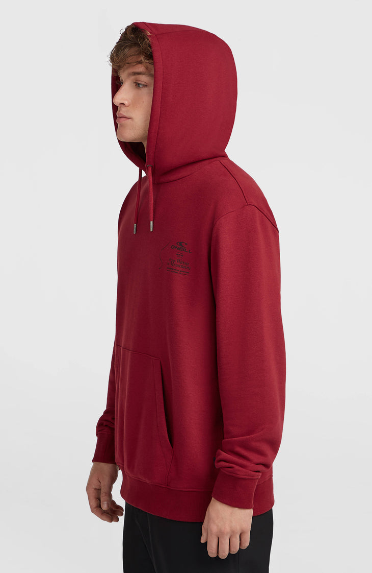Sweat à capuche O'Neill Must-Have | Tamarillo