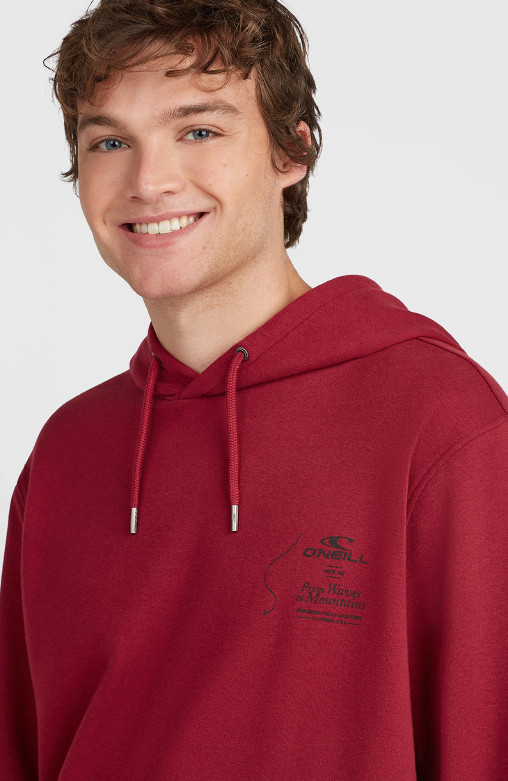 Sweat à capuche O'Neill Must-Have | Tamarillo