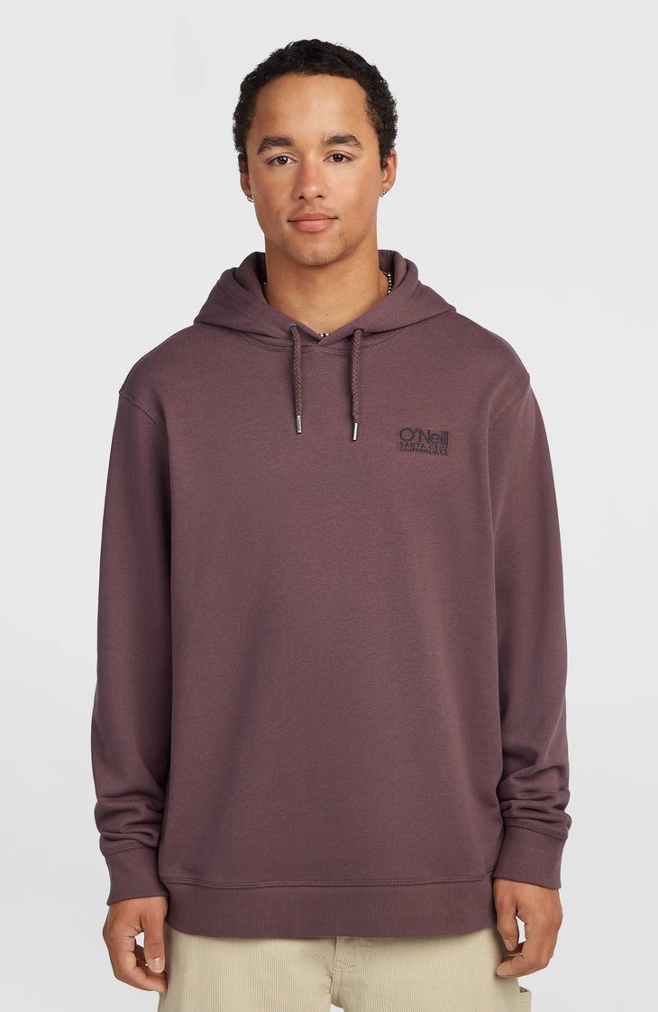 Sweat à capuche O'Neill Cali | Purple Gray
