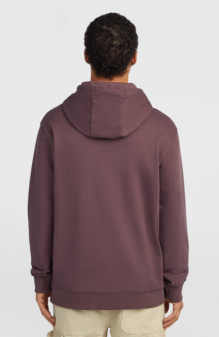 Sweat à capuche O'Neill Cali | Purple Gray