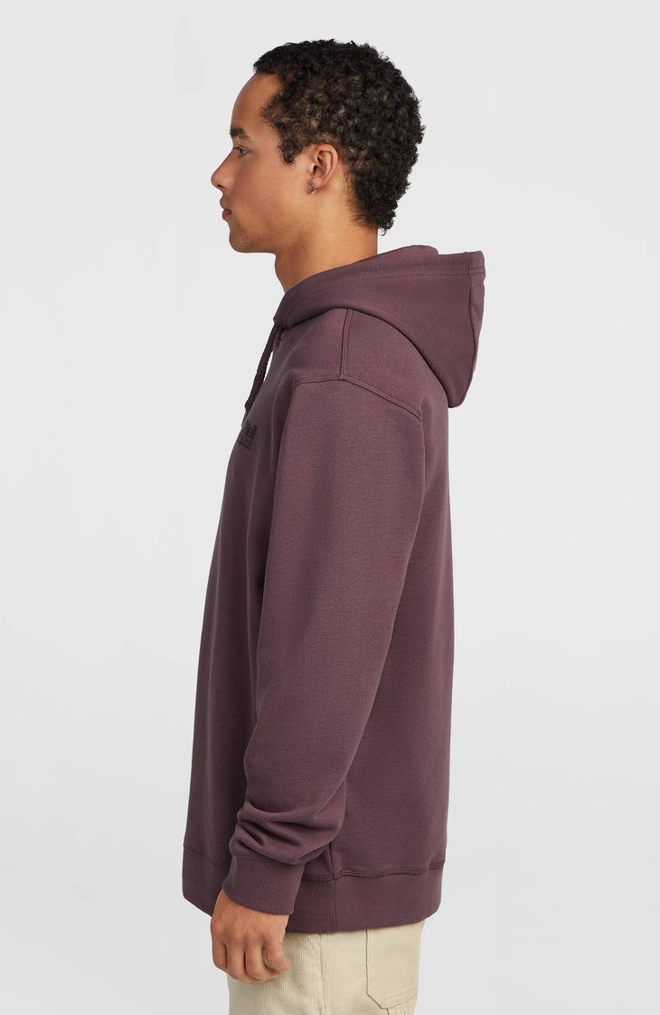 Sweat à capuche O'Neill Cali | Purple Gray