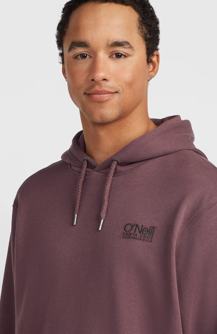 Sweat à capuche O'Neill Cali | Purple Gray