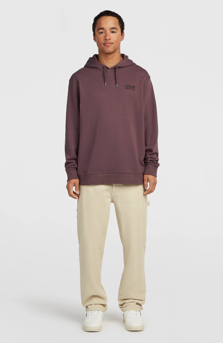 Sweat à capuche O'Neill Cali | Purple Gray