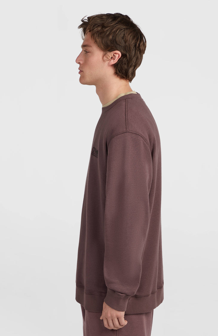 Sweatshirt à col rond O'Neill Cali | Purple Gray