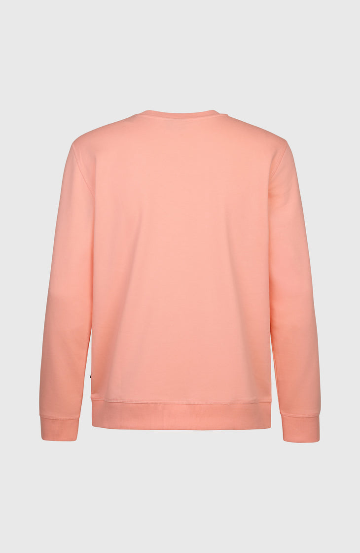 Pull O'Neill California Graphic Crew | Coral Pop