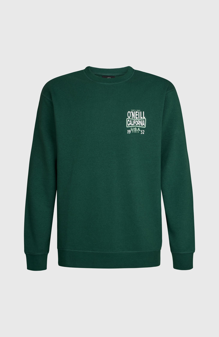 Sweatshirt O'Neill Small Logo Crew | Emerald Envy