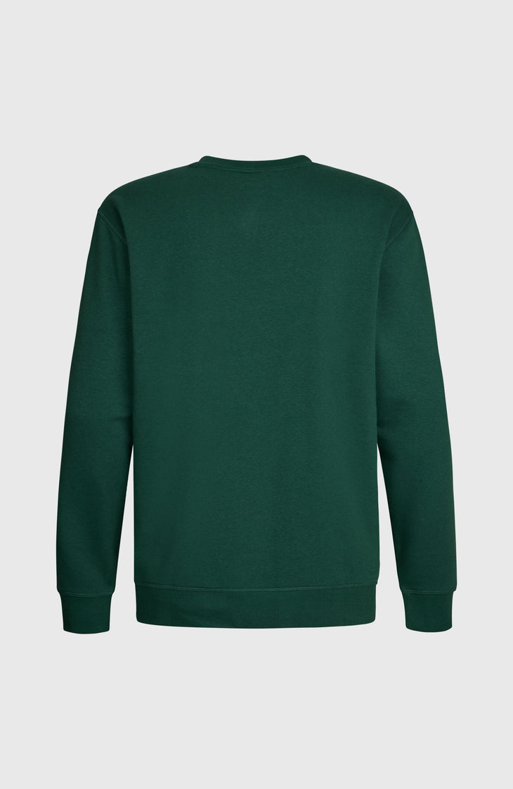 Sweatshirt O'Neill Small Logo Crew | Emerald Envy