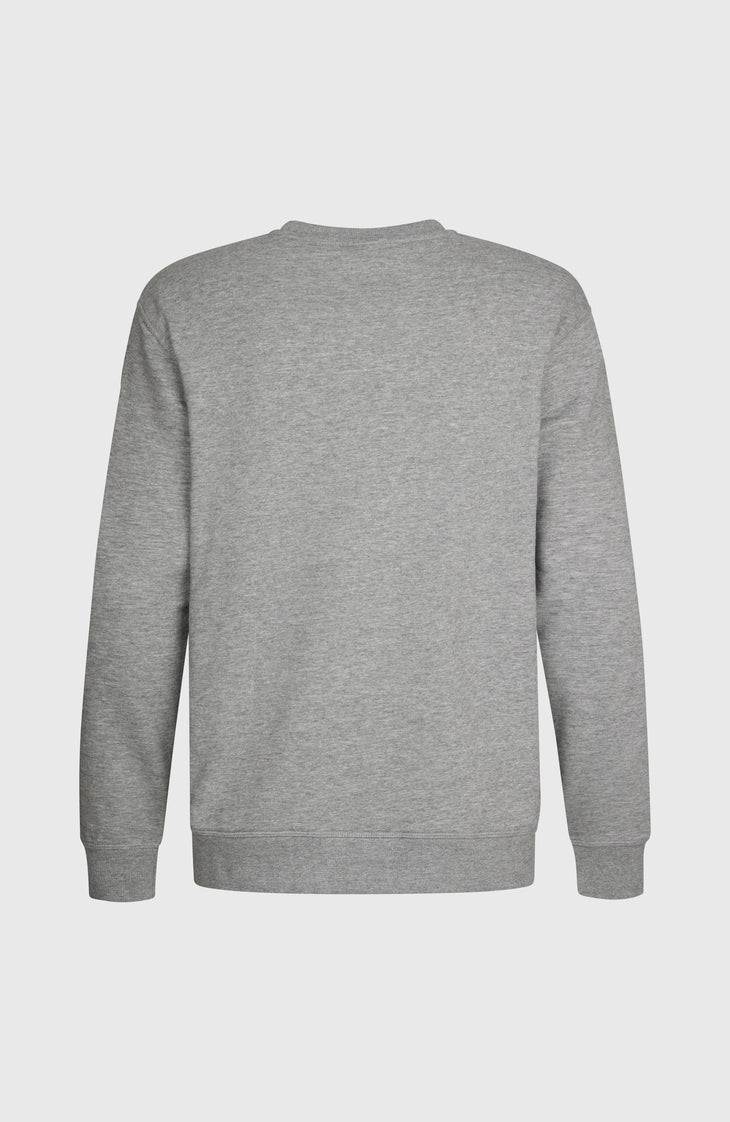 Sweatshirt O'Neill Small Logo Crew | Silver Melee