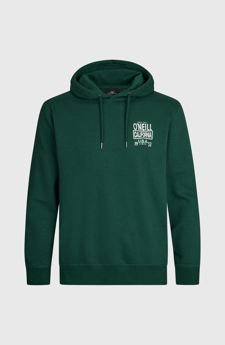 Sweat à capuche O'Neill Small Logo | Emerald Envy