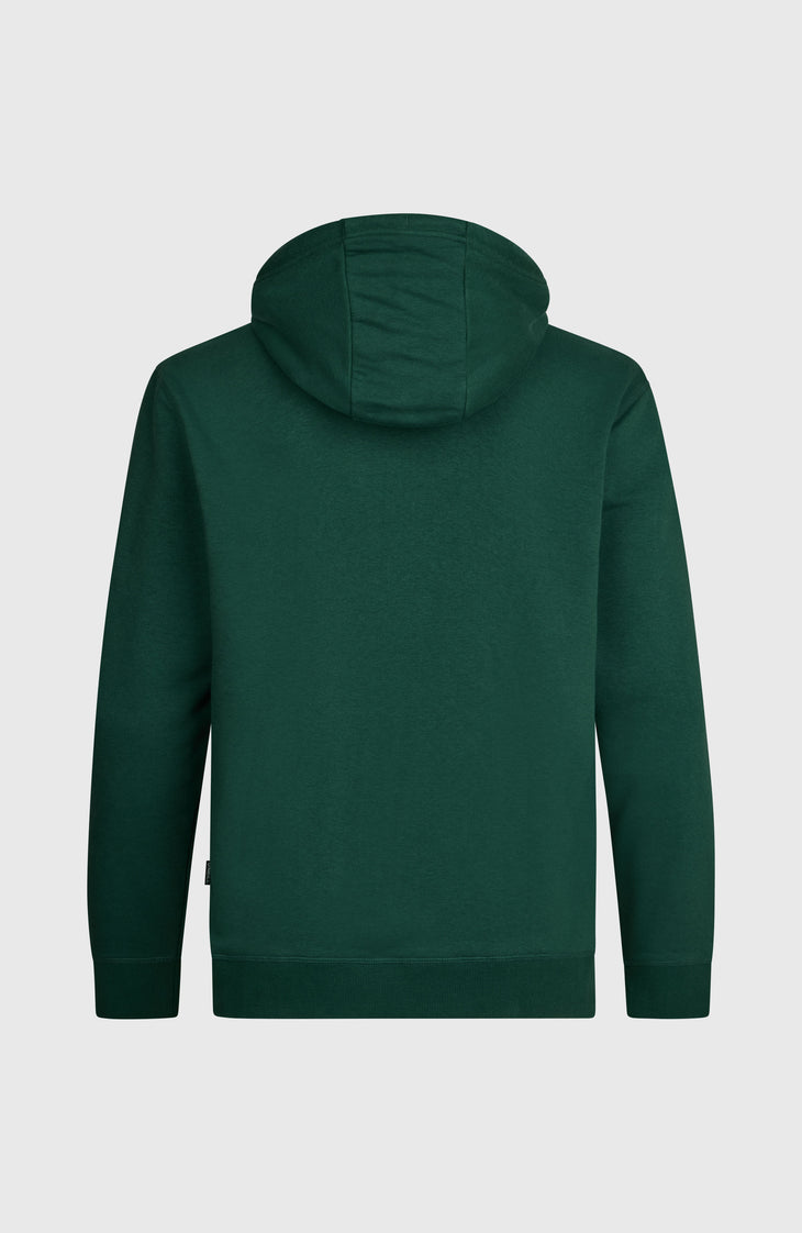 Sweat à capuche O'Neill Small Logo | Emerald Envy