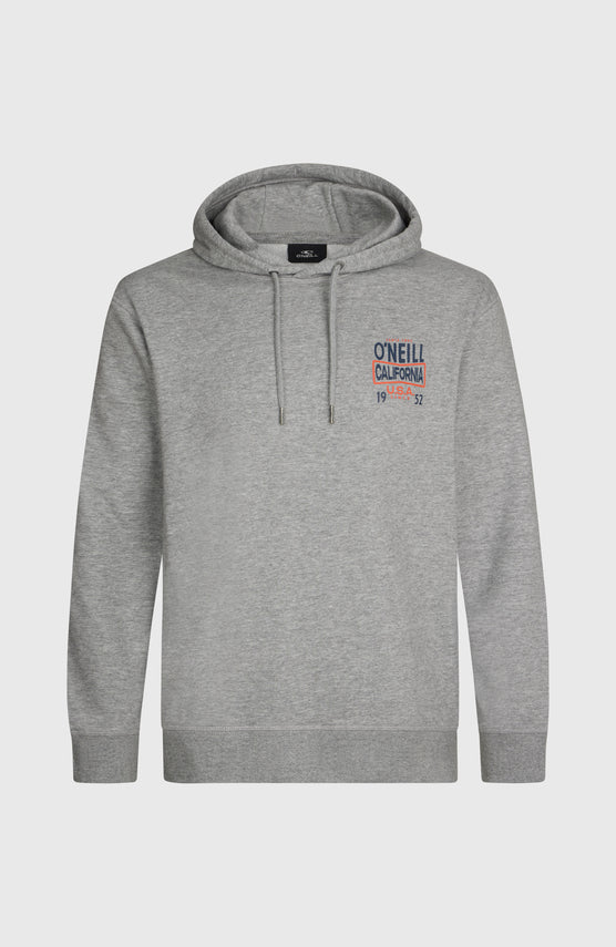 Sweat à capuche O'Neill Small Logo | Silver Melee