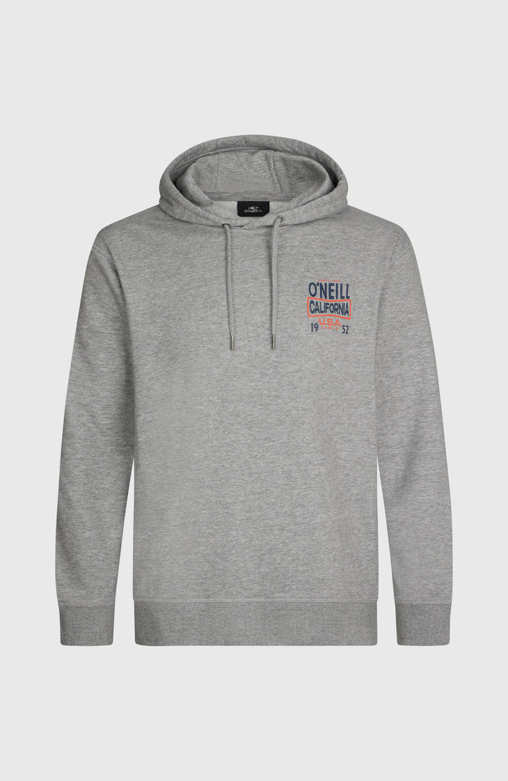 Sweat à capuche O'Neill Small Logo | Silver Melee