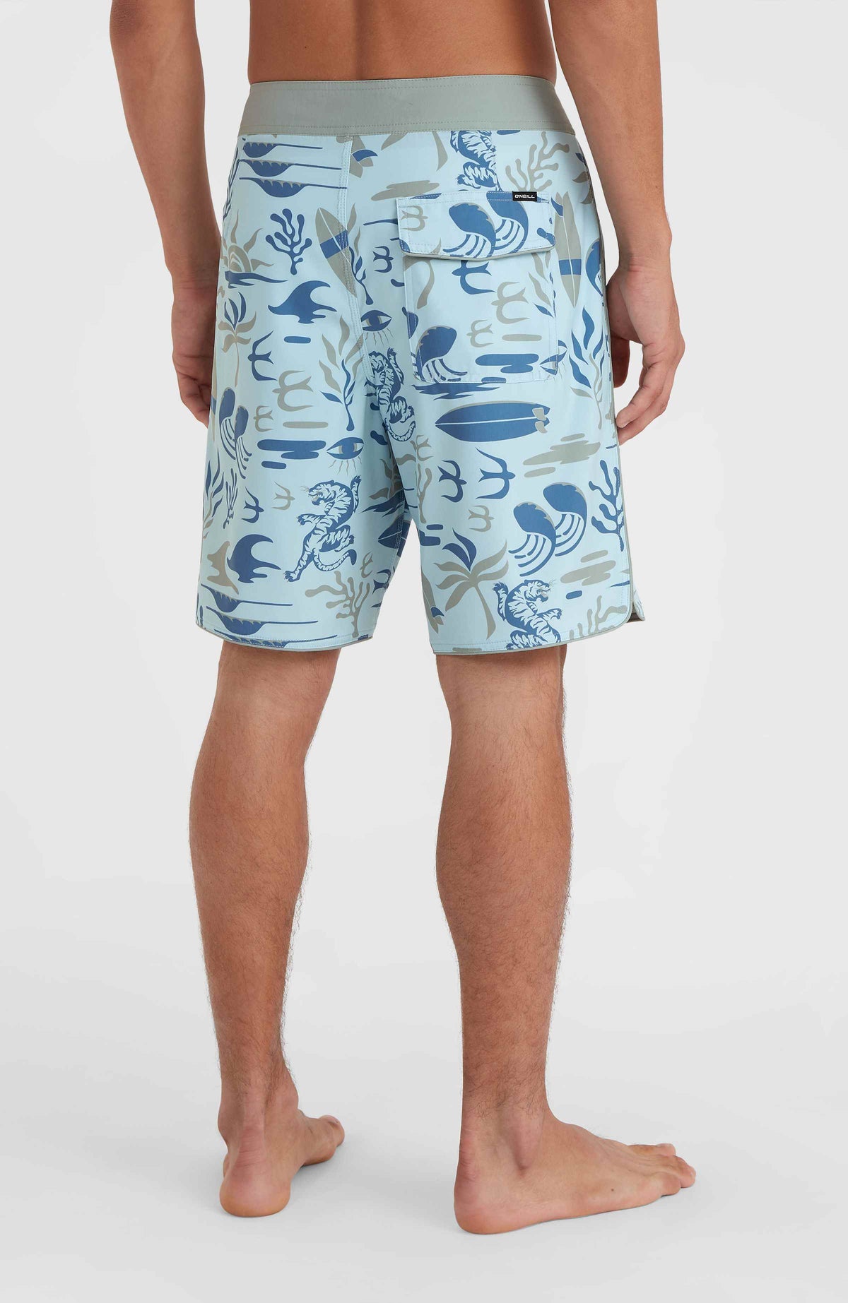 Boardshort Hyperfreak Mysto Scallop 19 | Blue Sky Mysto Scallop