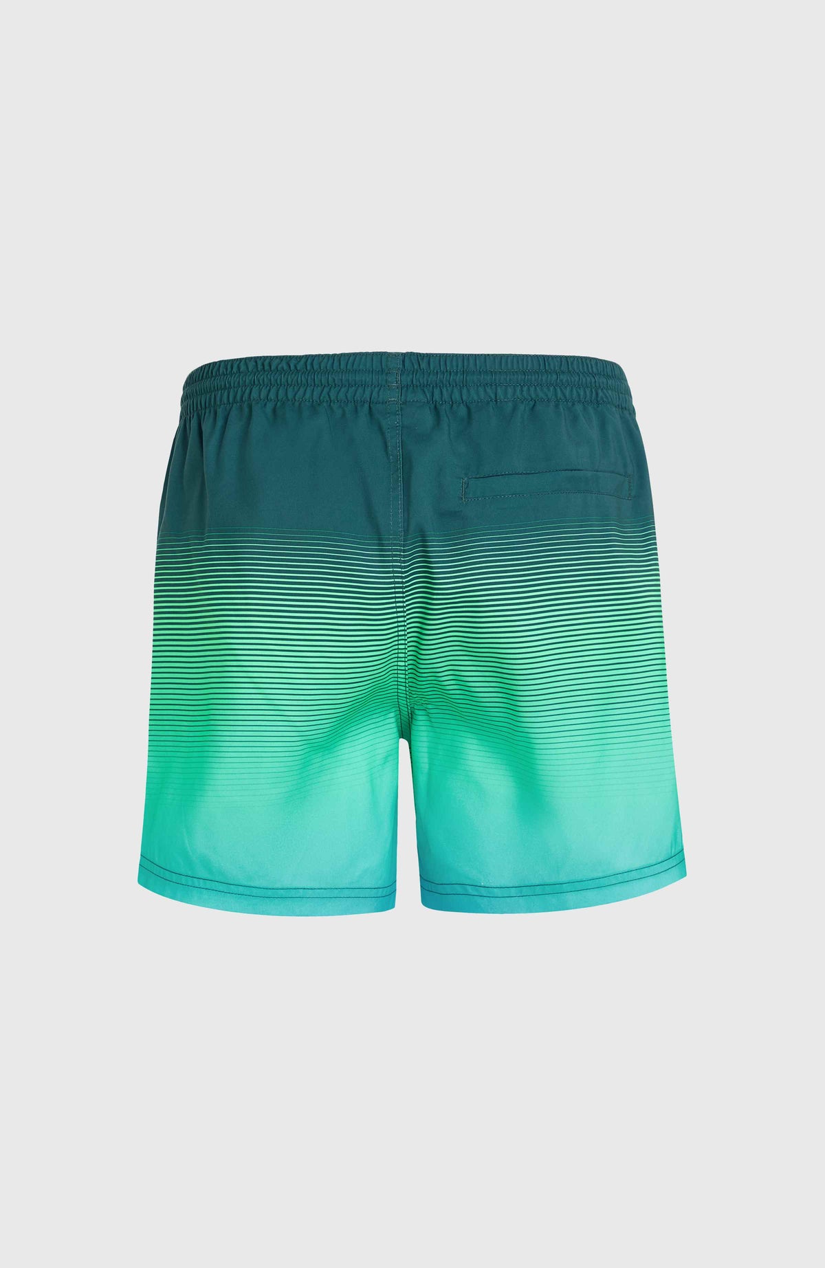 Short de bain Jack O'Neill Cali Gradient 15'' | Beetle Juice Simple Gradient Panel