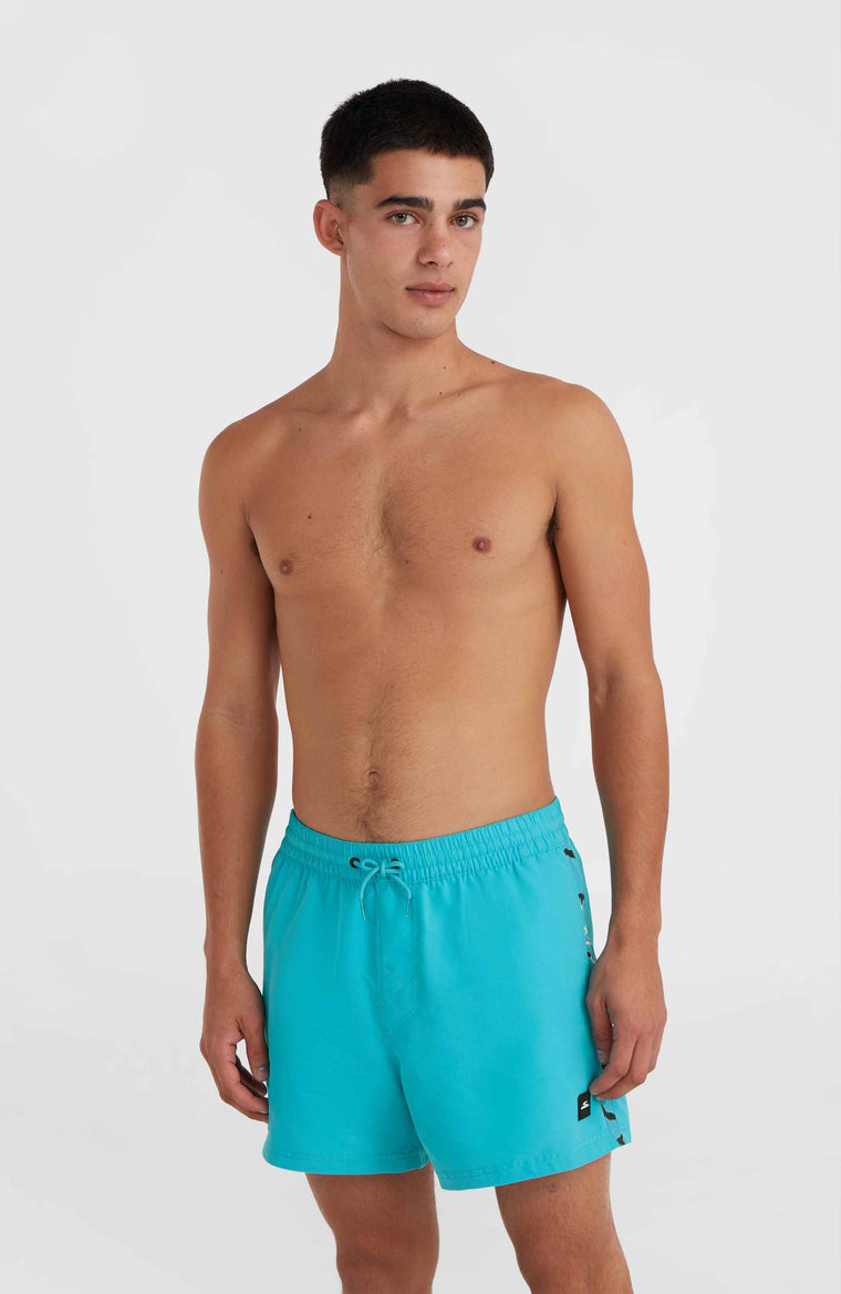 Short de bain Jack O'Neill Vert 14'' | Neon Blue Short de bain Jack O'Neill Vert 14'' | Neon Blue