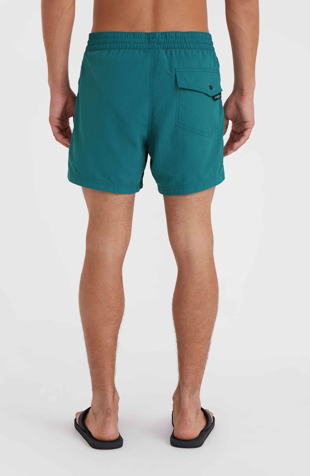 Short de bain Jack O'Neill Vert 14'' | Beetle Juice