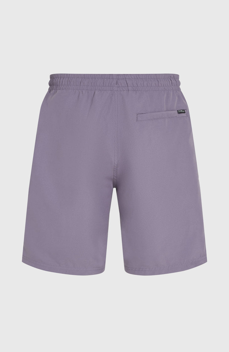 Short de bain Retro 19'' | Storm Colour Block