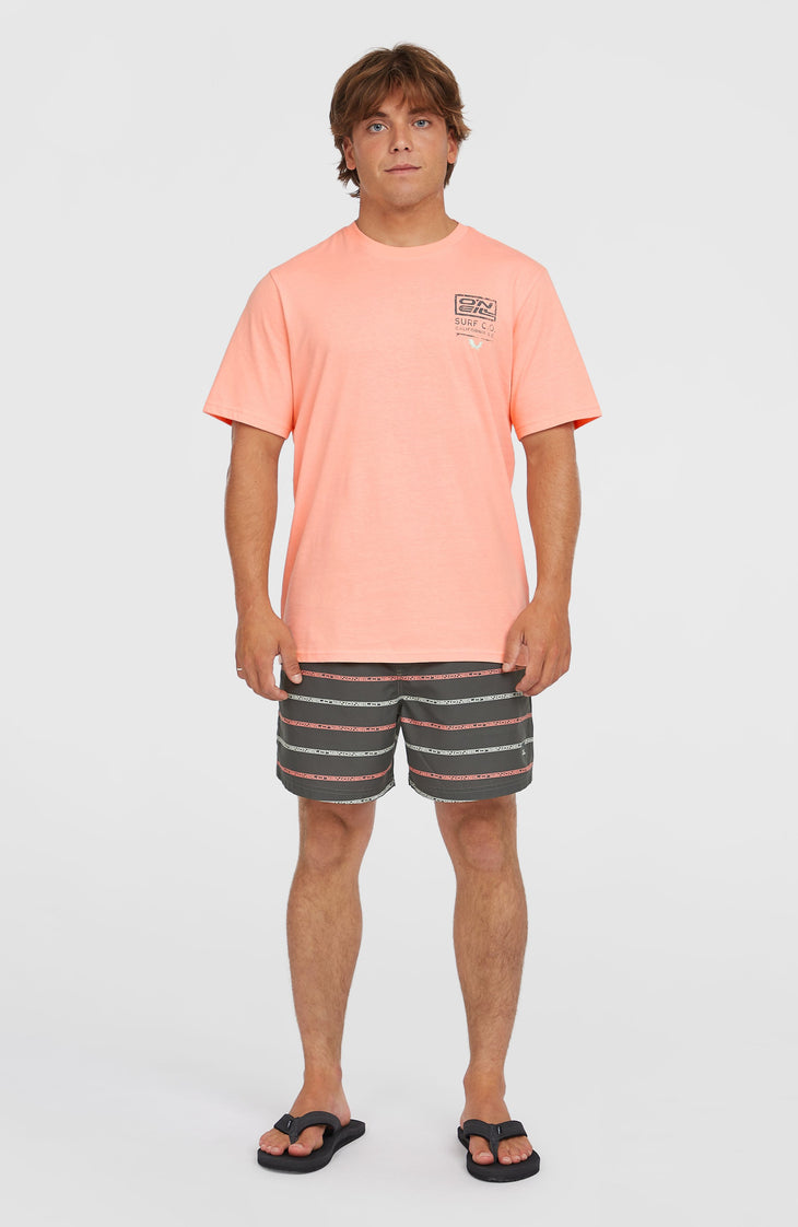 Short de bain Cali First 15'' | Grey O'Neill Stripe