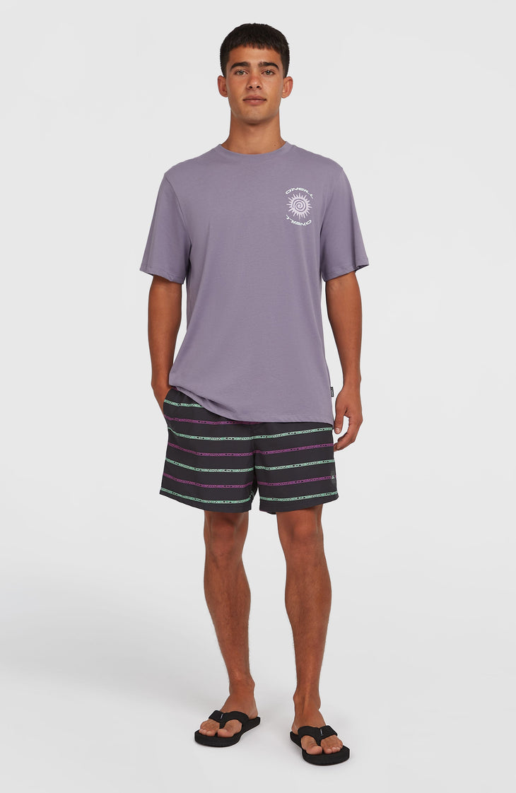 Short de bain Cali First 15'' | Black/Purple O'Neill Stripe