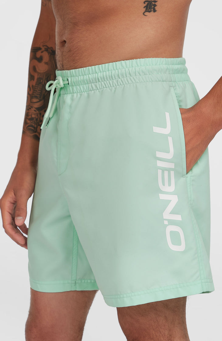 Short de bain Cali 16'' | Mildrew Mint