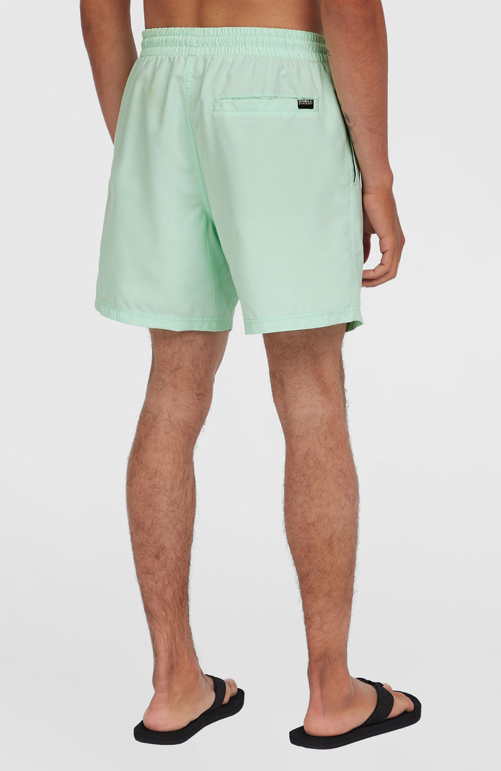 Short de bain Cali 16'' | Mildrew Mint