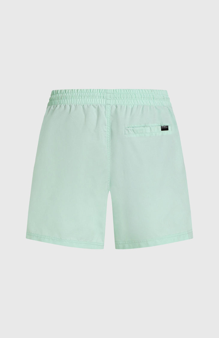 Short de bain Cali 16'' | Mildrew Mint