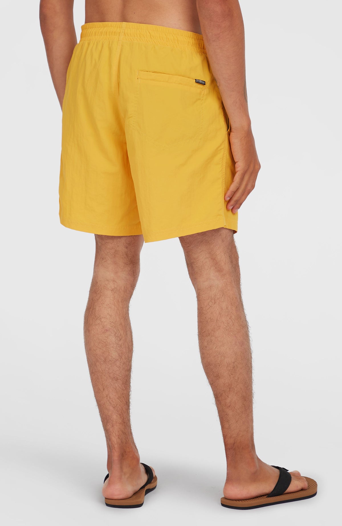 Short de bain O'Neill Vert 16'' | Golden Haze