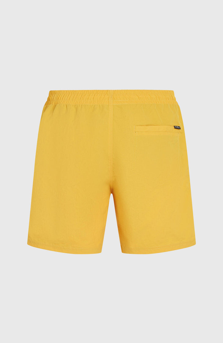 Short de bain O'Neill Vert 16'' | Golden Haze