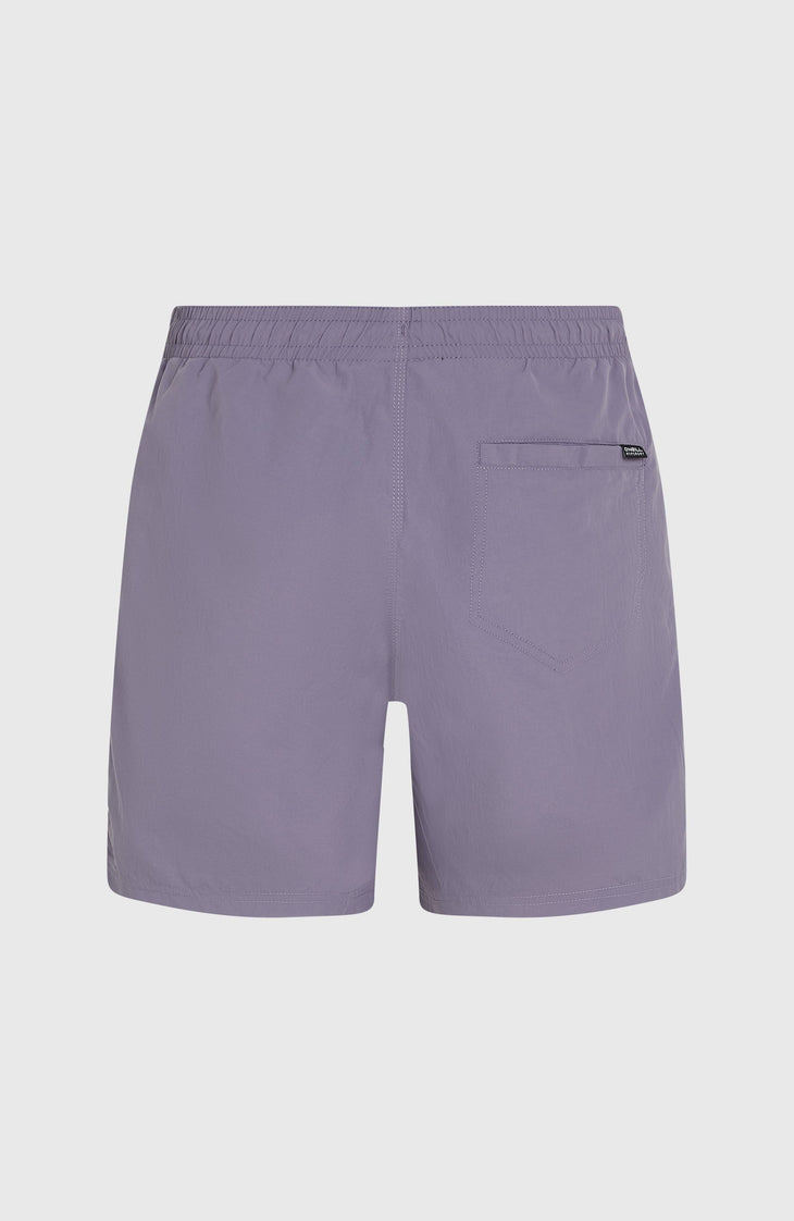 Short de bain O'Neill Vert 16'' | Storm