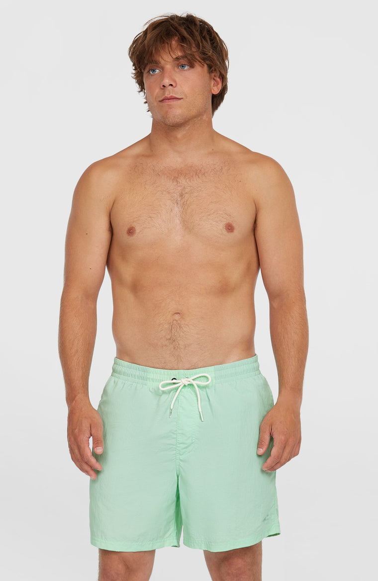 Short de bain O'Neill Vert 16'' | Mildrew Mint Short de bain O'Neill Vert 16'' | Mildrew Mint