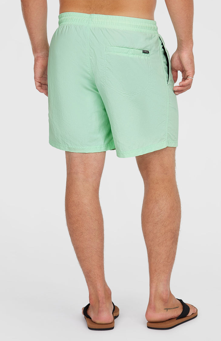 Short de bain O'Neill Vert 16'' | Mildrew Mint