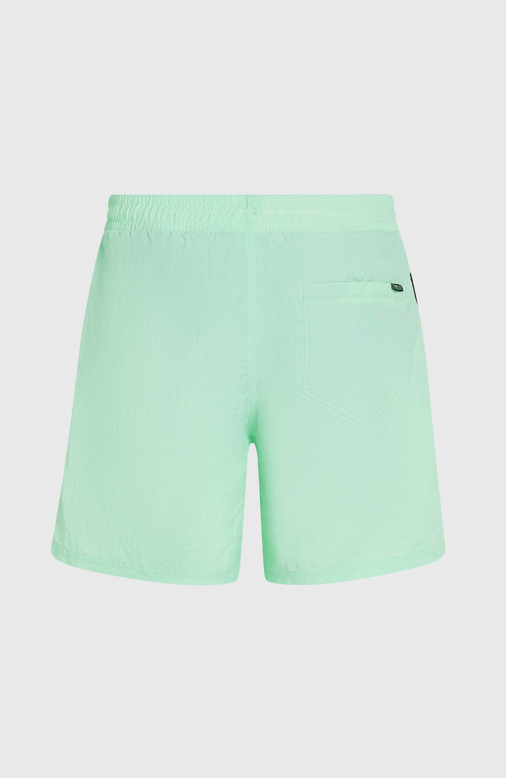 Short de bain O'Neill Vert 16'' | Mildrew Mint