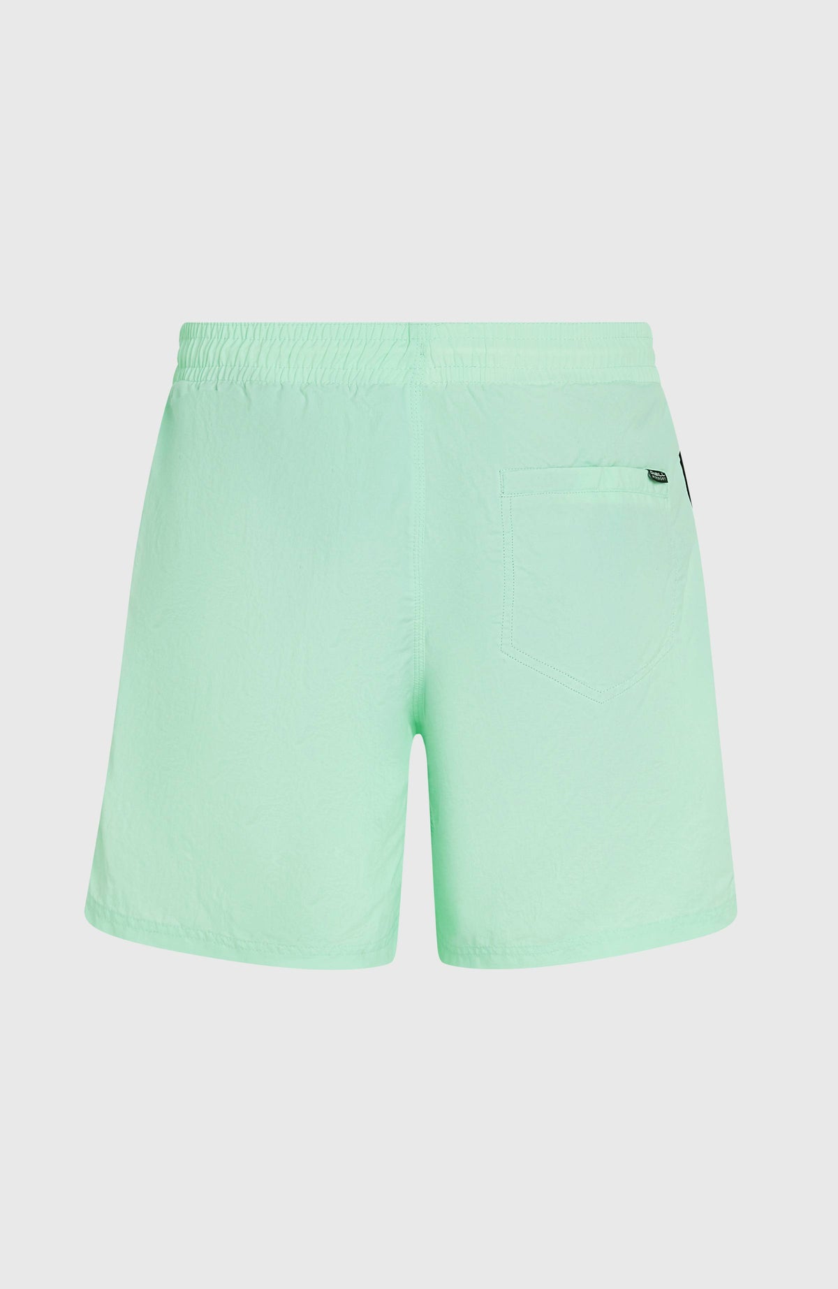 Short de bain O'Neill Vert 16'' | Mildrew Mint