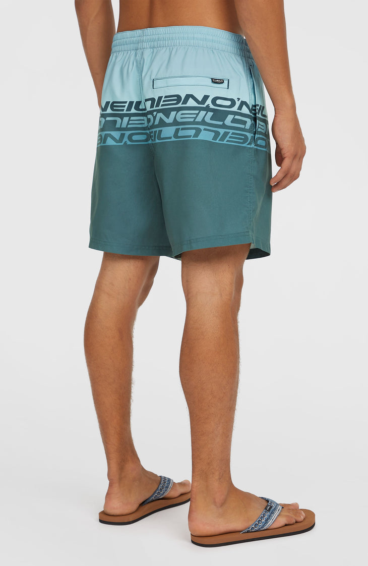 Short de bain Cali Stripe 16 | Blue Upside Down
