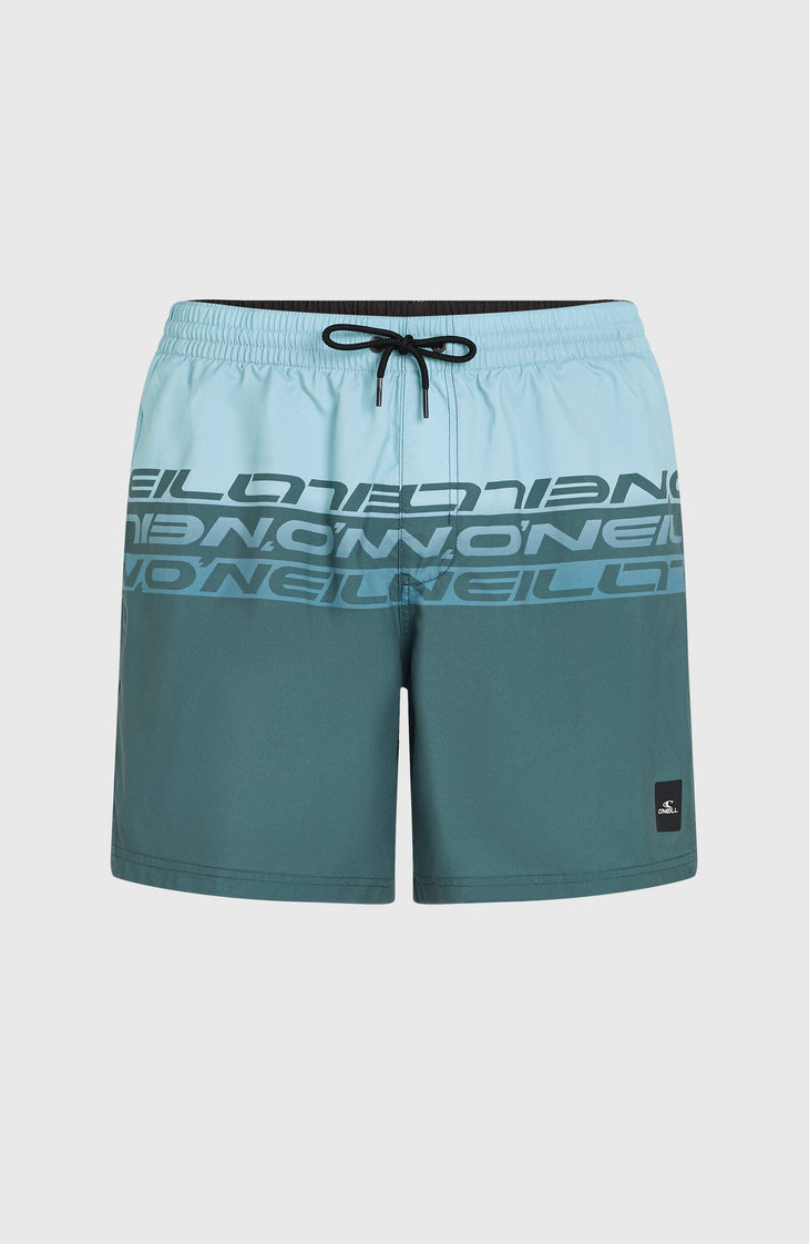 Short de bain Cali Stripe 16 | Blue Upside Down