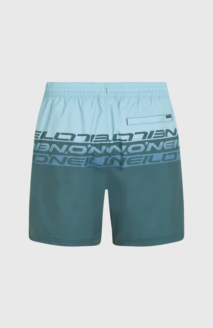 Short de bain Cali Stripe 16 | Blue Upside Down