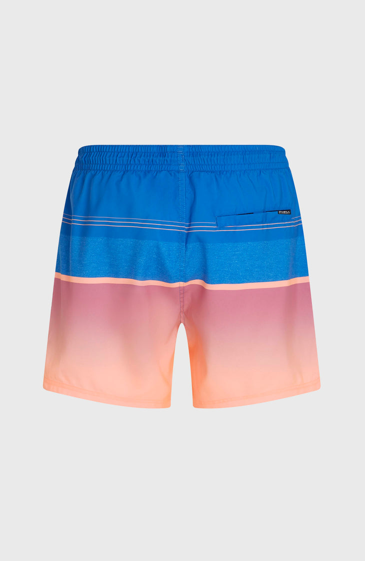 Short de bain O'Neill Gradient 15 | Blue Gradient Stripe