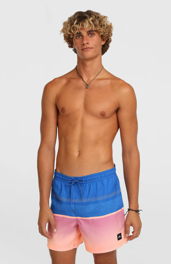 Short de bain O'Neill Gradient 15 | Blue Gradient Stripe