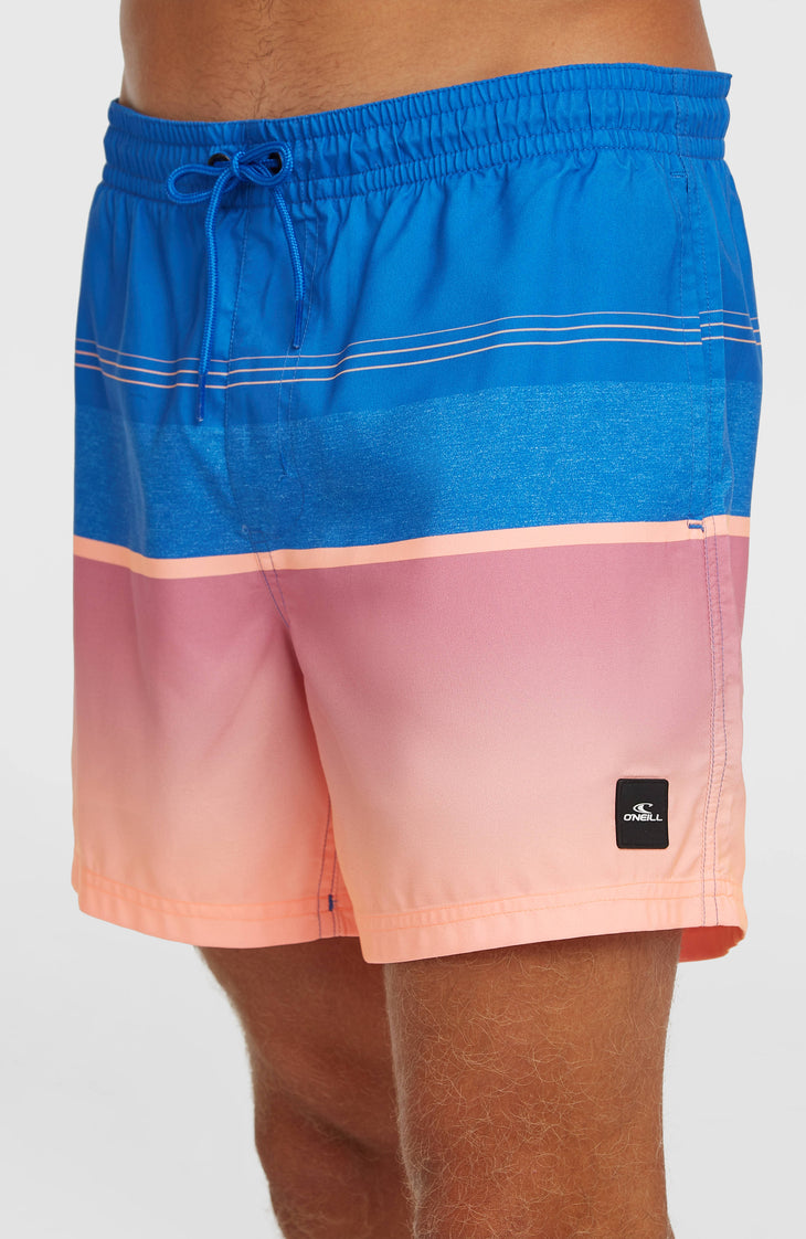 Short de bain O'Neill Gradient 15 | Blue Gradient Stripe