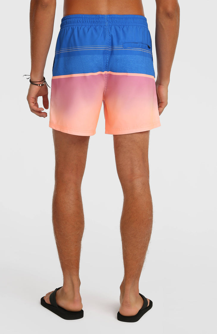 Short de bain O'Neill Gradient 15 | Blue Gradient Stripe